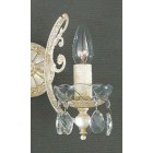 WB.1407.1.17 50960 WB.1407.1.17 50960