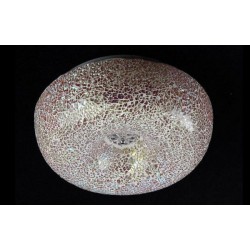 MD50001-30PI MD50001-30PI