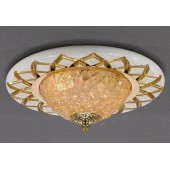 PL166.2.26 50487 WHITE GOLD AMBER