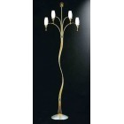 6437.LG.27 6437.LG.27