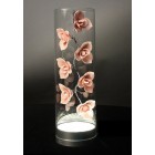 SX 711 Rose SX 711 Rose